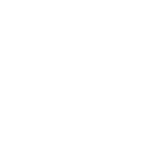 organisation